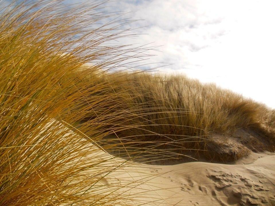 Zeeduin, Met Zonnig Terras - Volledige Keuken- Resort Amelander Kaap, Incl Verwarmd Hotel-Zwembad Nabij Dorp, Duinen En Strand Hollum  Zimmer foto
